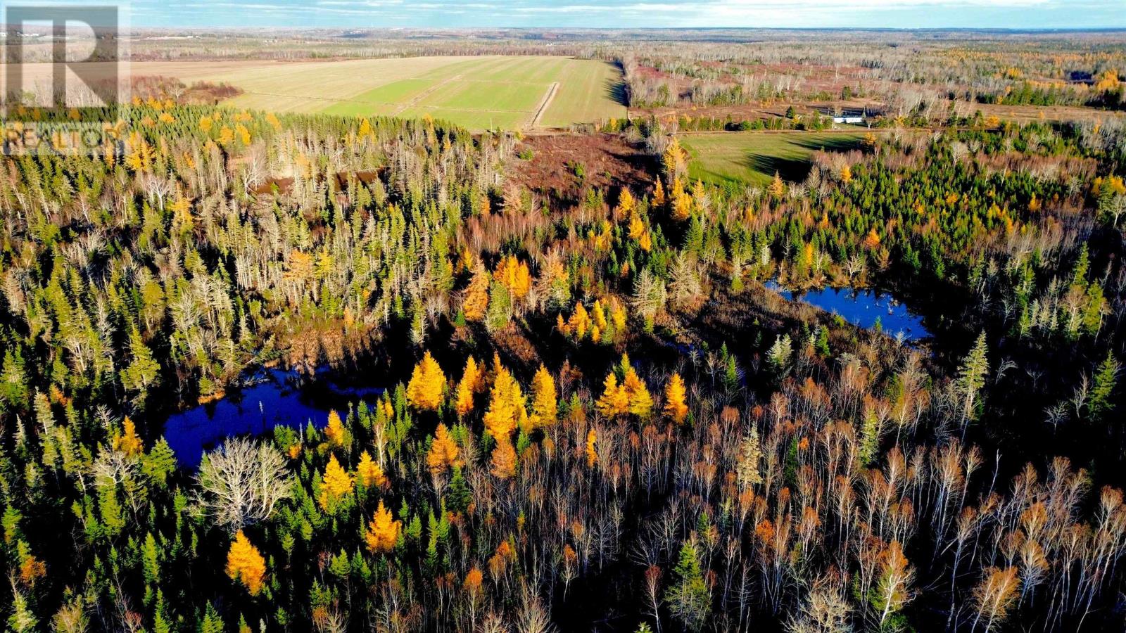 Albion Road, Route 327, Albion Cross, Prince Edward Island  C0A 2A0 - Photo 6 - 202528083