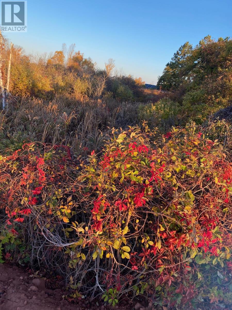 8741 Rte 11, Abrams Village, Prince Edward Island  C0B 2E0 - Photo 3 - 202528430
