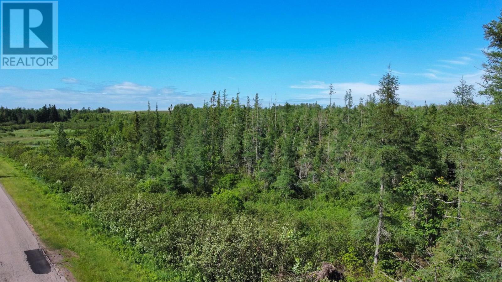 Acreage Strathcona Road, Forest Hill, Prince Edward Island  C0A 1G0 - Photo 13 - 202528556