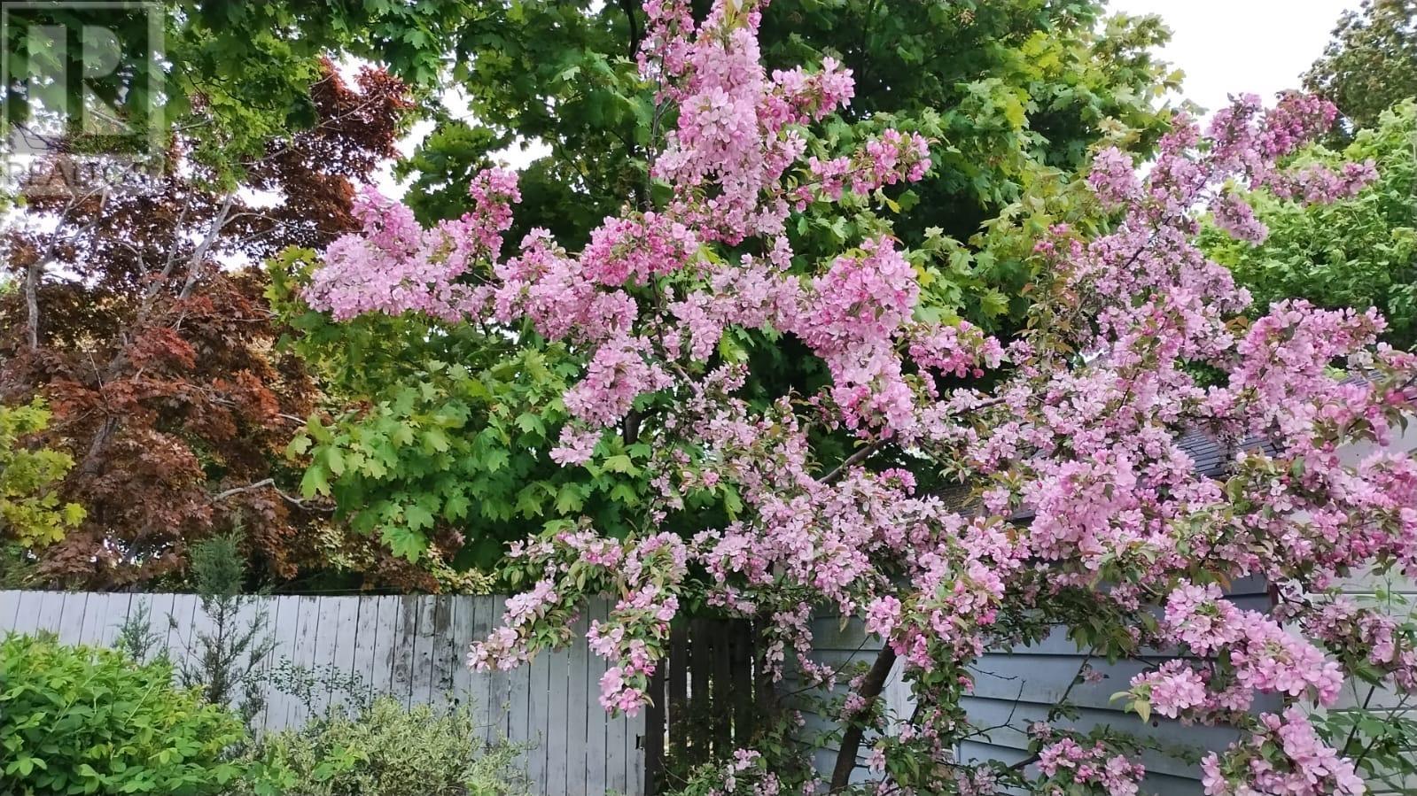 77 Russell Street, Summerside, Prince Edward Island  C1N 5H7 - Photo 22 - 202528732