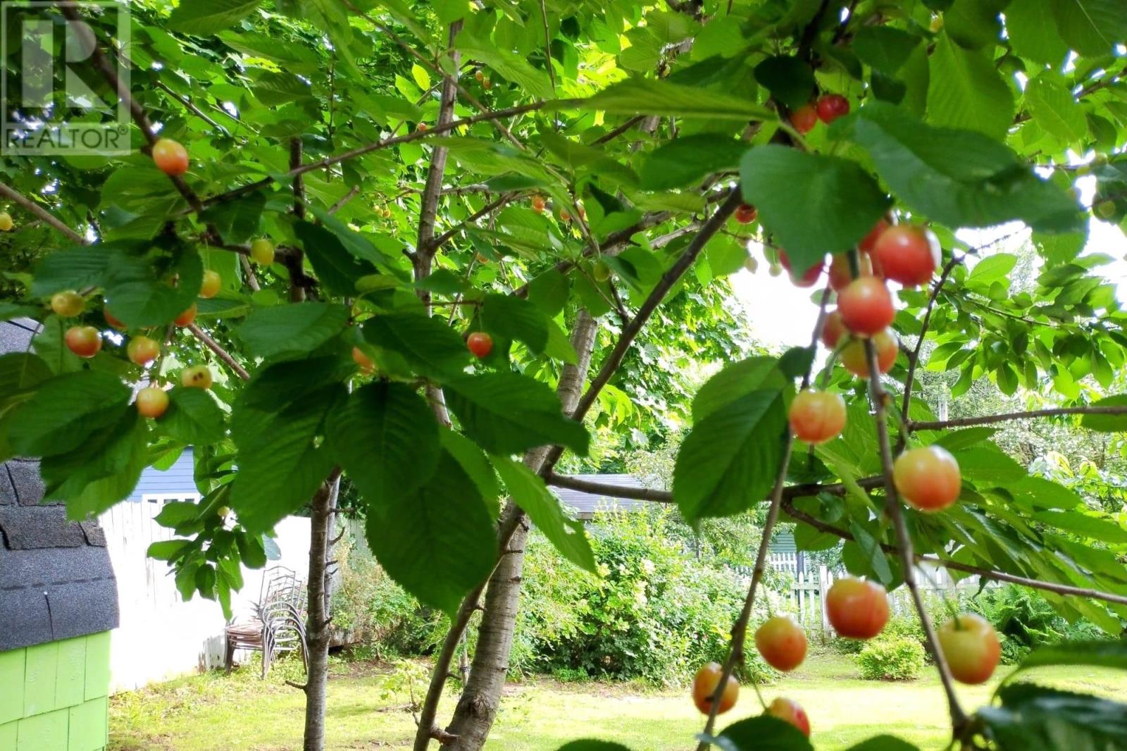 77 Russell Street, Summerside, Prince Edward Island  C1N 5H7 - Photo 23 - 202528732