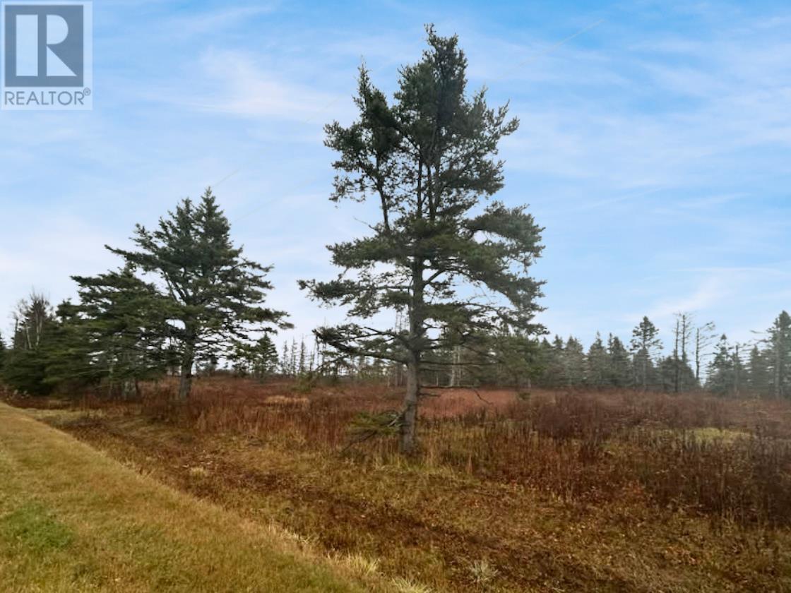 Lot Route 336, Cable Head West, Prince Edward Island  C0A 2A0 - Photo 1 - 202528869