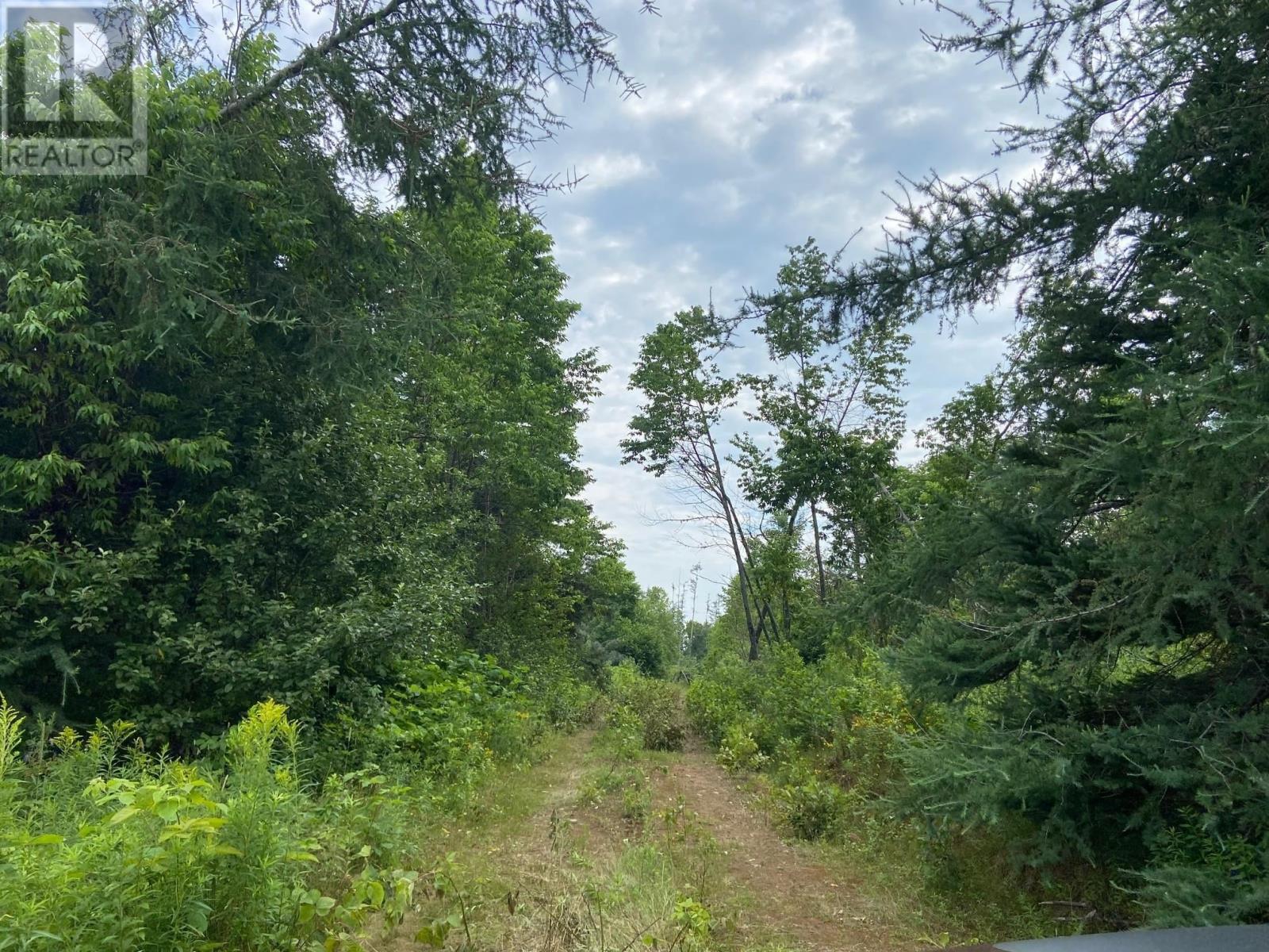 Lot 22-1 Primrose Road, St. Georges, Prince Edward Island  C0A 1G0 - Photo 1 - 202528979