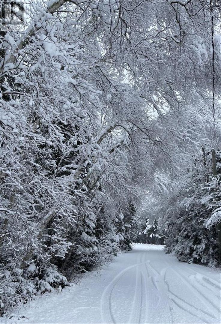 446 Fox River Road, Murray Harbour, Prince Edward Island  C0A 1V0 - Photo 47 - 202529737