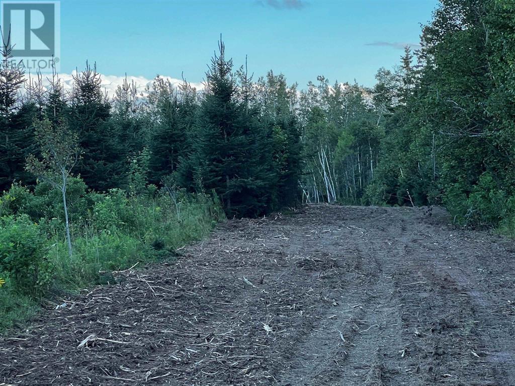 1 Boughton Bay Lane, Launching, Prince Edward Island  C0A 1G0 - Photo 9 - 202529754