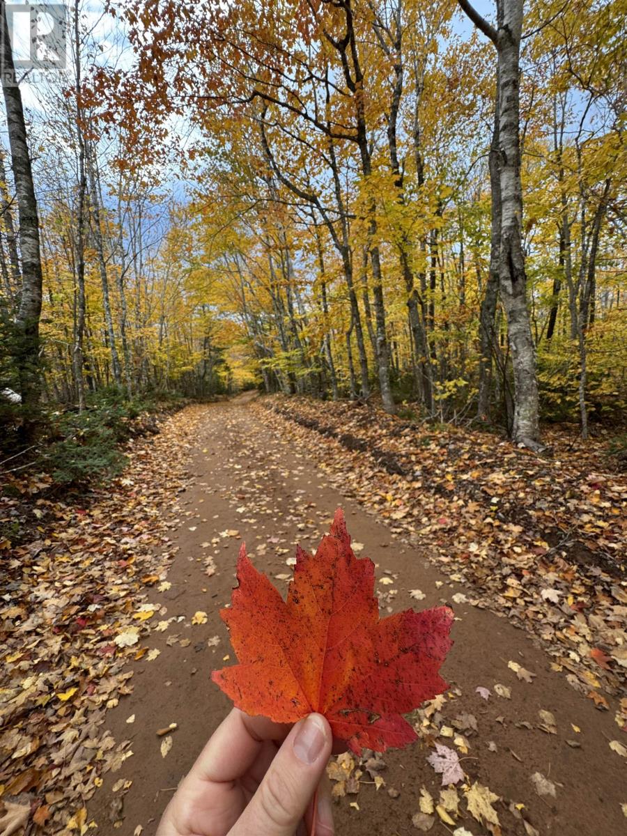A19 Riverbend Lane, North Granville, Prince Edward Island  C0A 1N0 - Photo 9 - 202600477