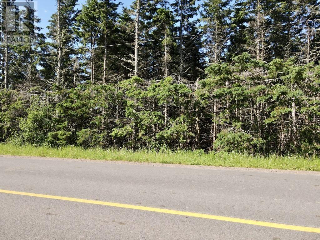 Trout River Road, Millvale, Prince Edward Island  C0A 1E0 - Photo 18 - 202601276