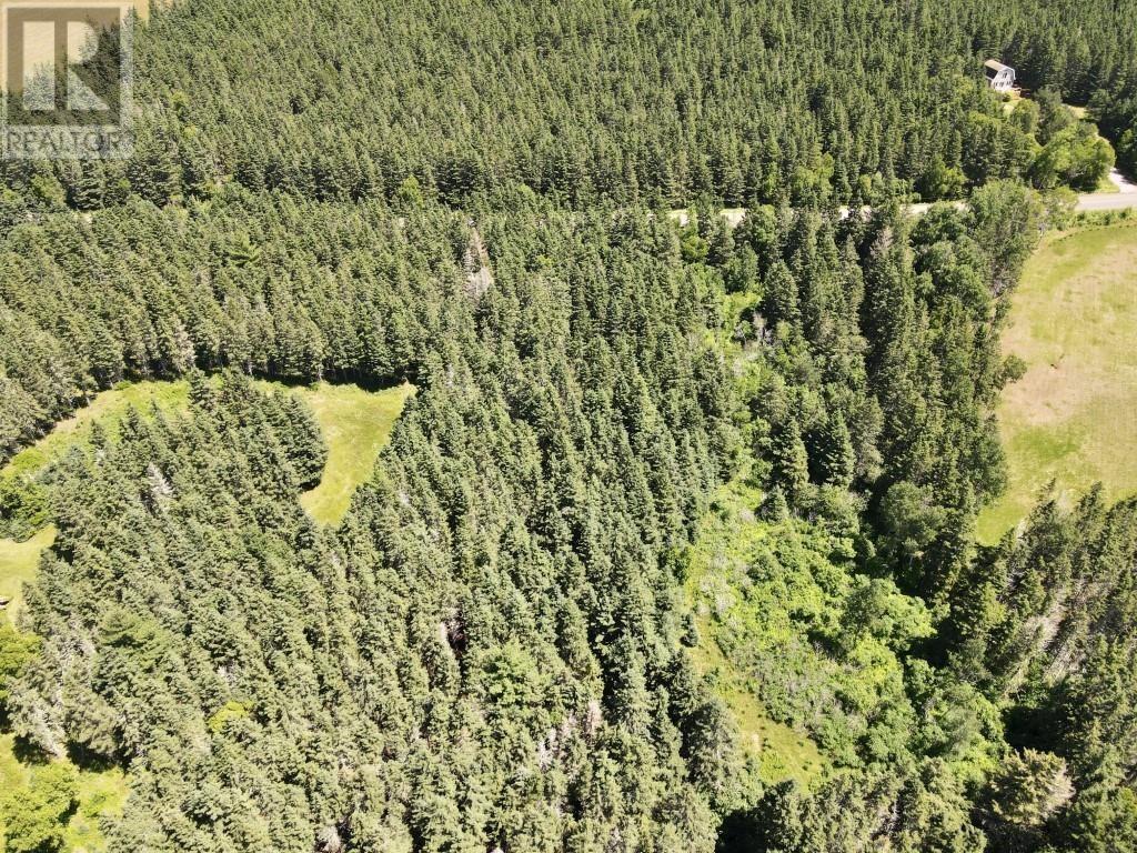 Trout River Road, Millvale, Prince Edward Island  C0A 1E0 - Photo 5 - 202601276