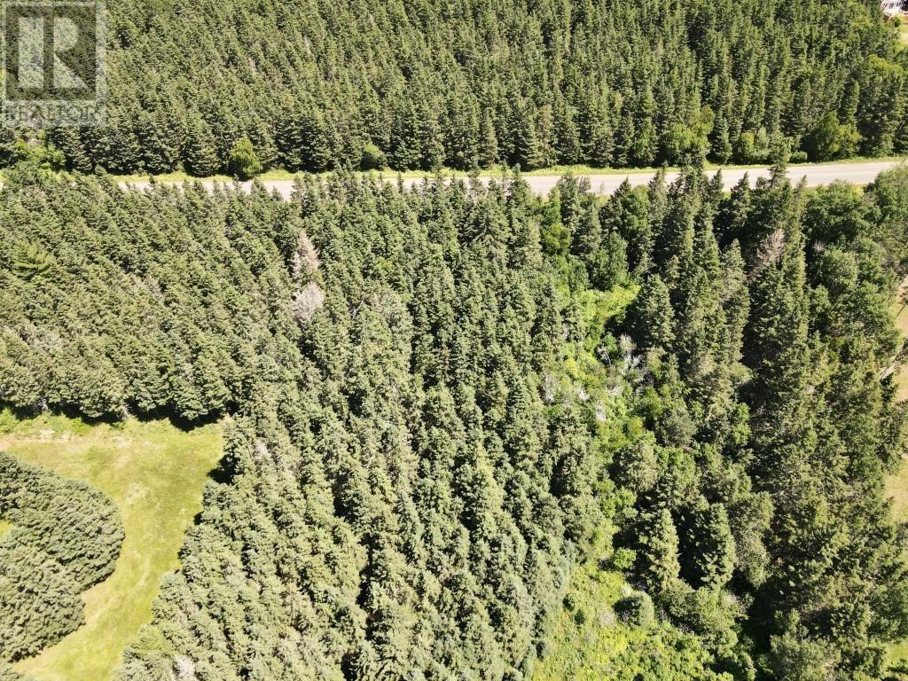 Trout River Road, Millvale, Prince Edward Island  C0A 1E0 - Photo 6 - 202601276