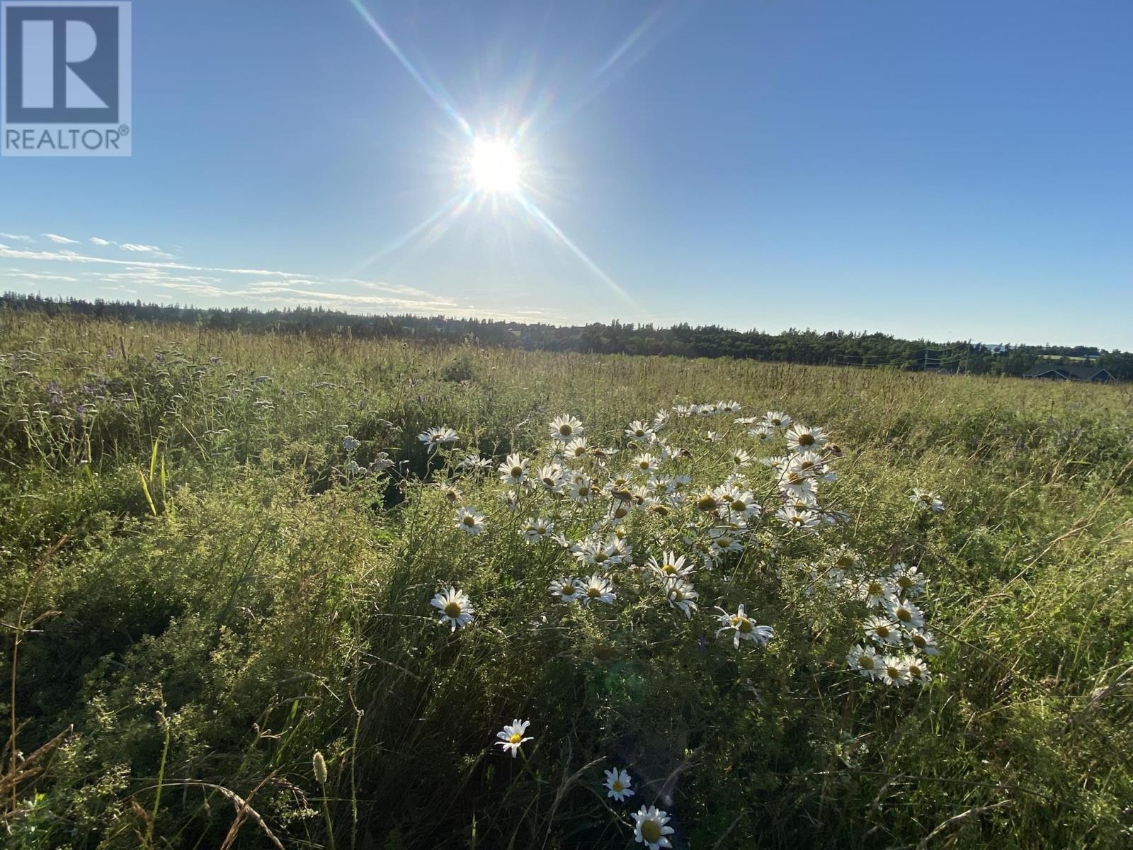 15 Rose Lane, Stanley Bridge, Prince Edward Island  C0A 1E0 - Photo 8 - 202601480