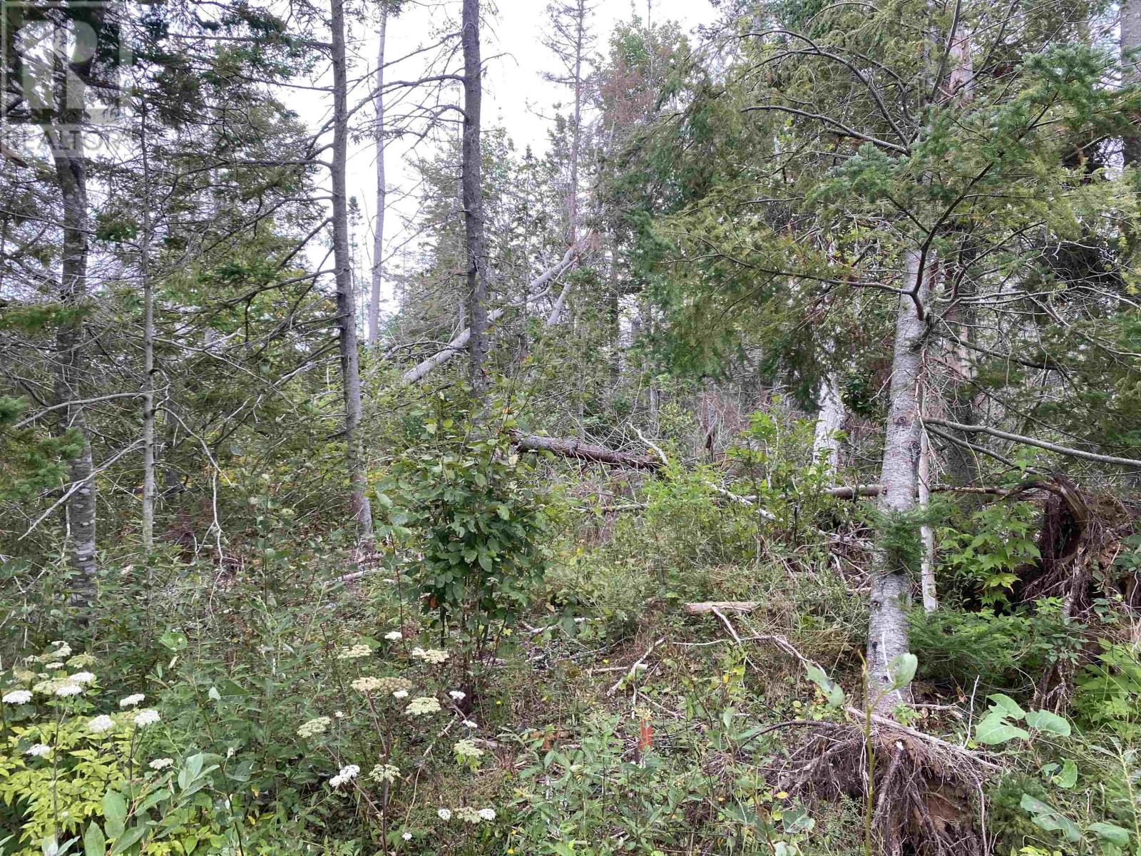 Lot 6 Floating Bridge Road, Murray River, Prince Edward Island  C0A 1W0 - Photo 5 - 202601637