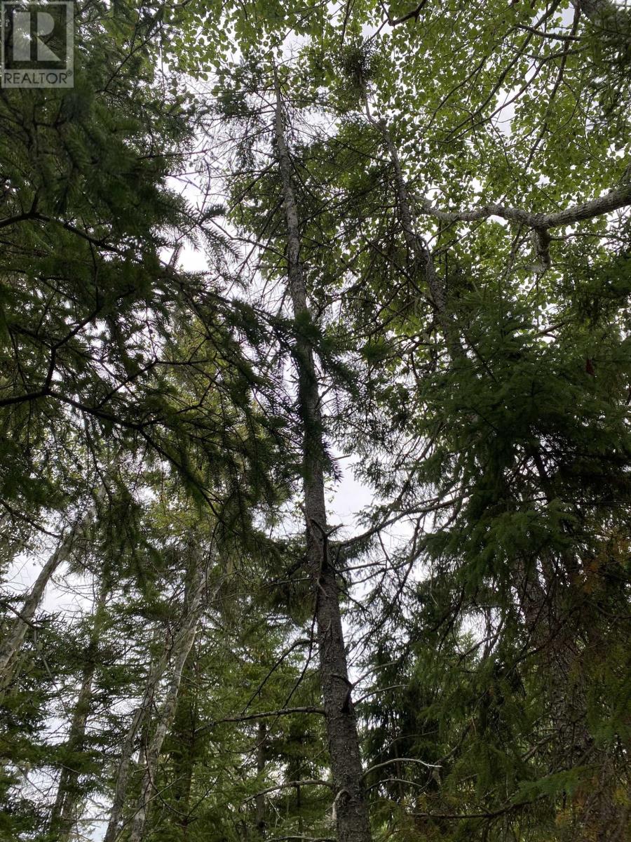 Lot 6 Floating Bridge Road, Murray River, Prince Edward Island  C0A 1W0 - Photo 6 - 202601637