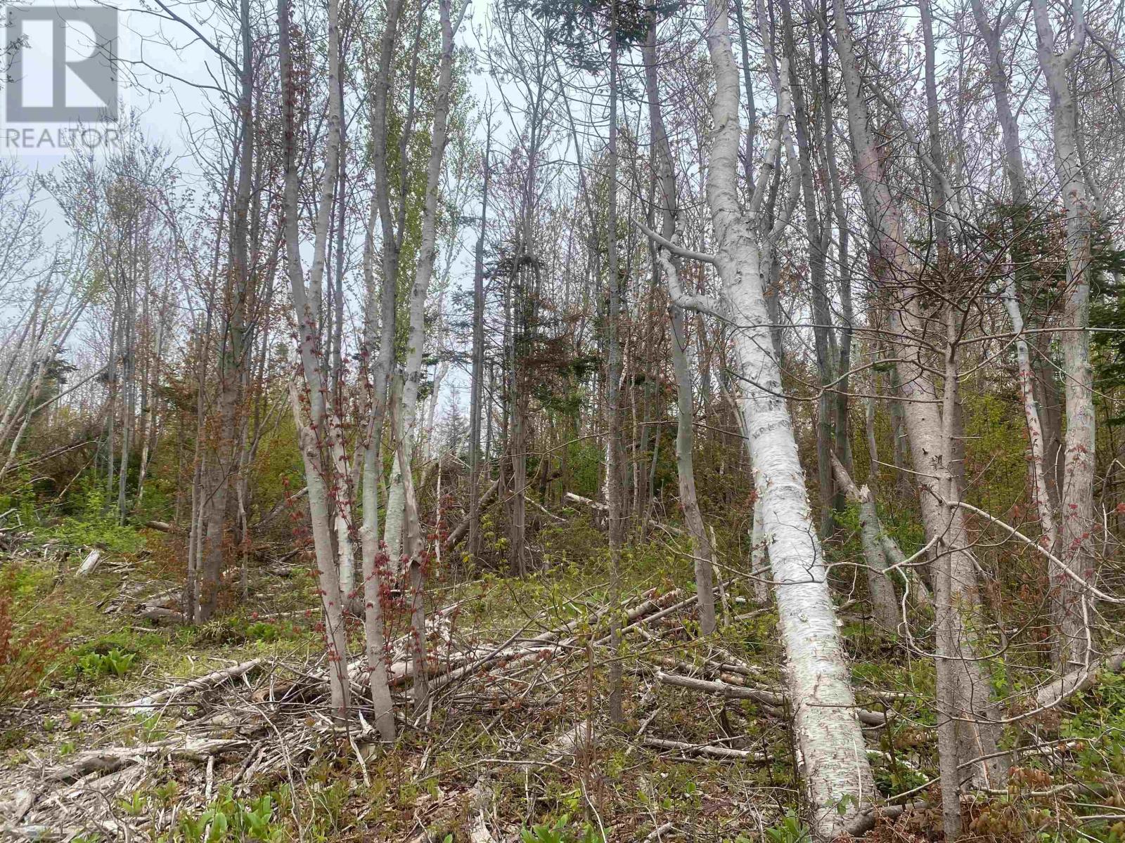 Lot Cape Road, North Rustico, Prince Edward Island  C0A 1X0 - Photo 14 - 202601893