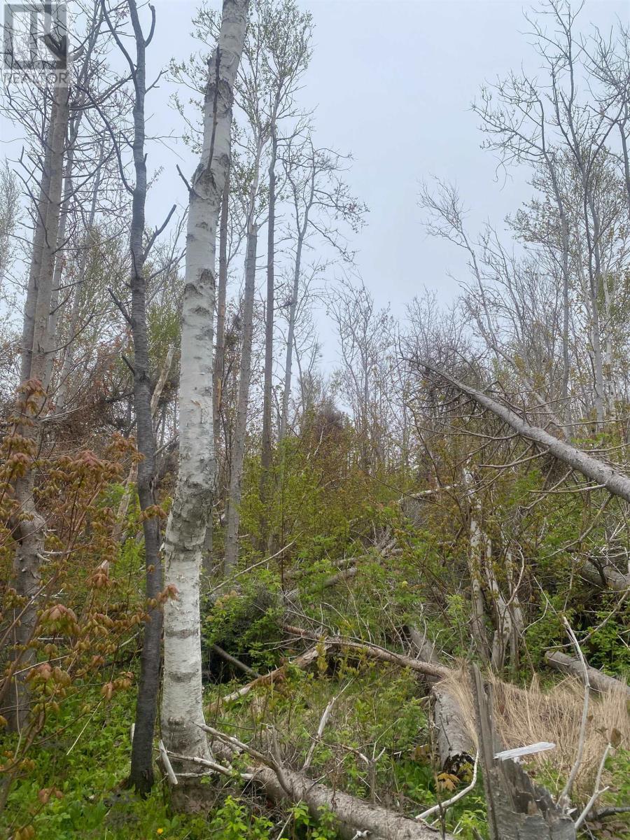 Lot Cape Road, North Rustico, Prince Edward Island  C0A 1X0 - Photo 15 - 202601893