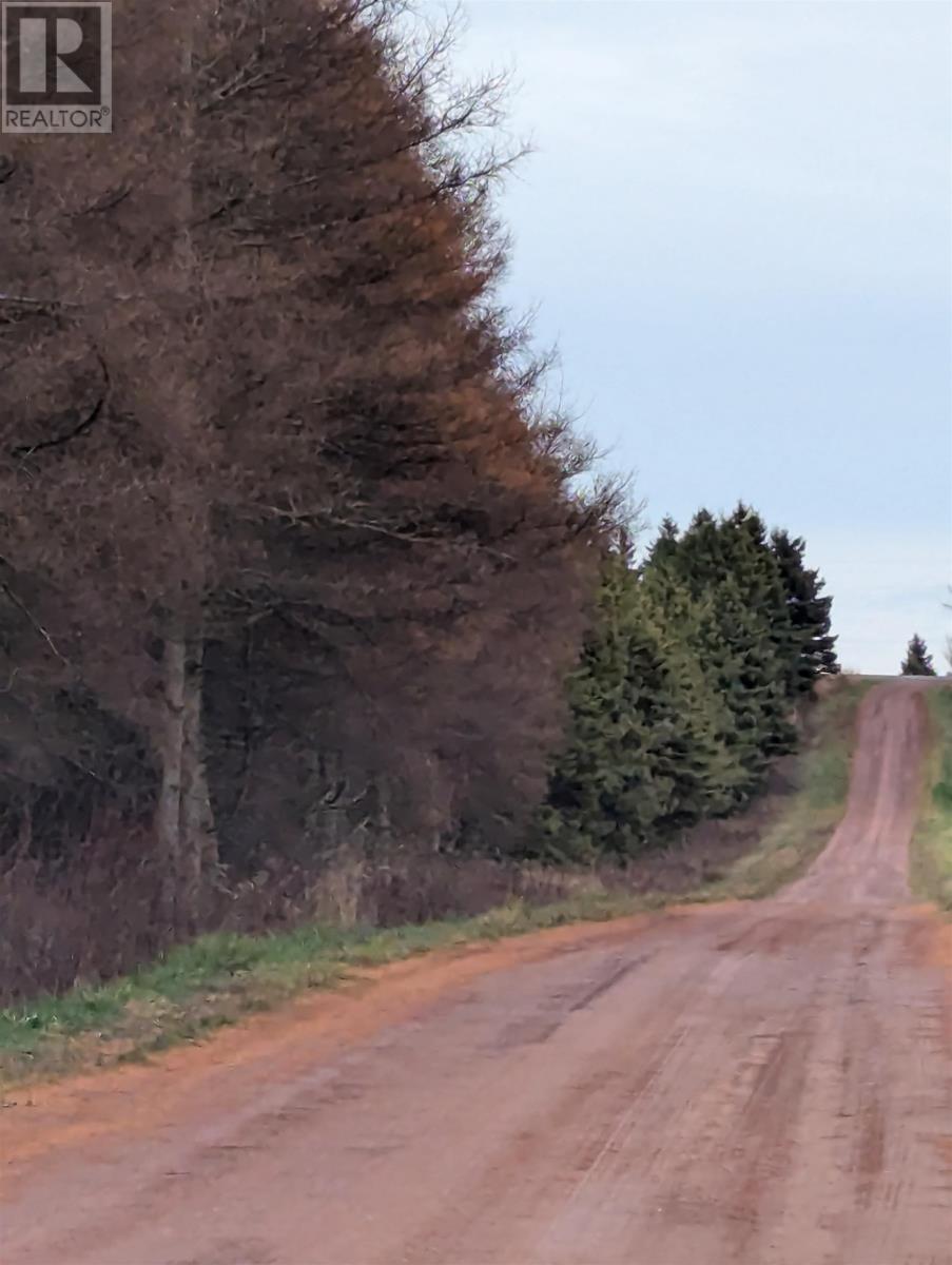 Acreage Jack Eloi Road, St. Chrysostome, Prince Edward Island