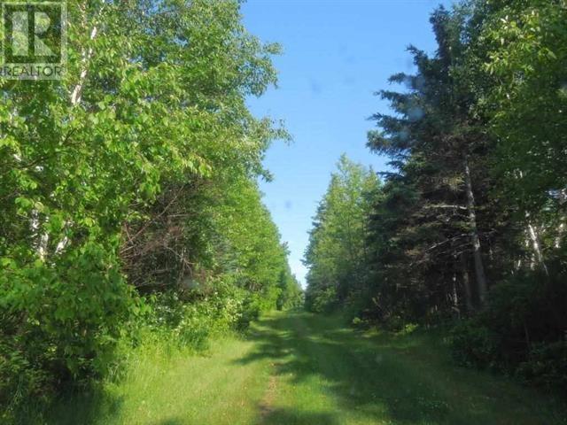 Lot Ponds Road, South Pinette, Prince Edward Island  C0A 1R0 - Photo 11 - 202602420