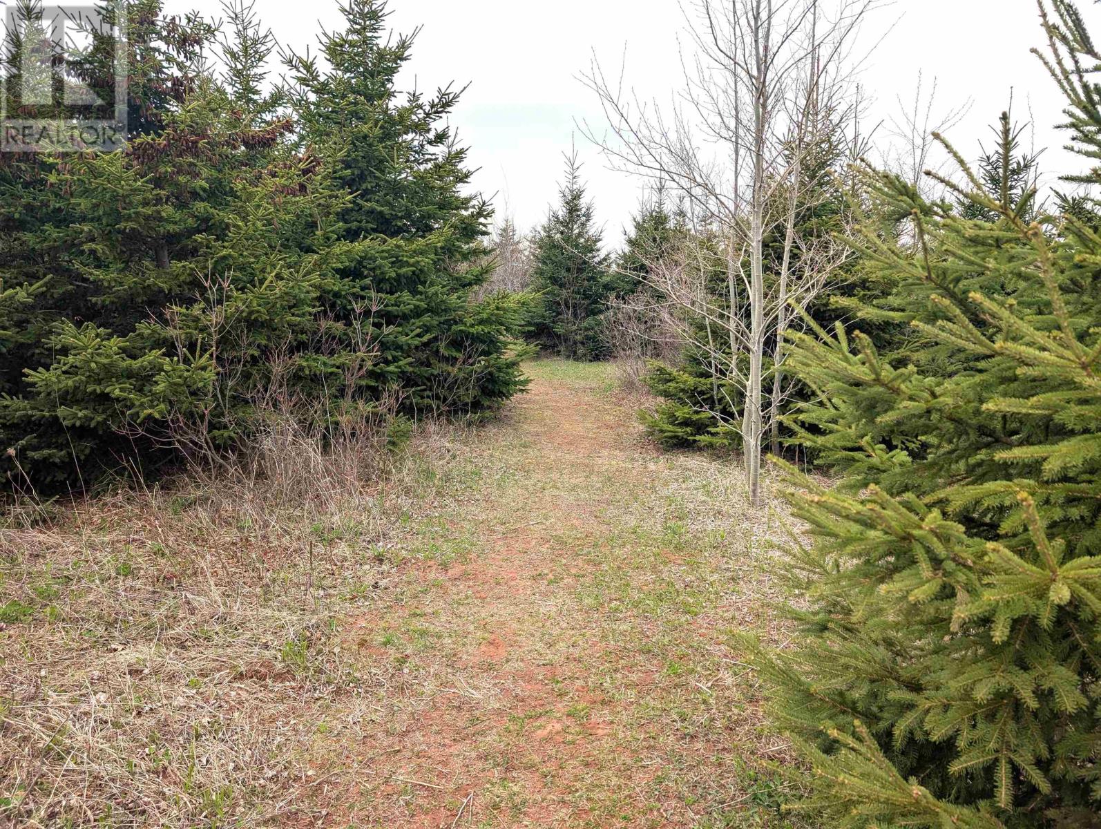 Lot 9 Sunrise Lane, Kildare Capes, Prince Edward Island  C0B 2B0 - Photo 32 - 202603042