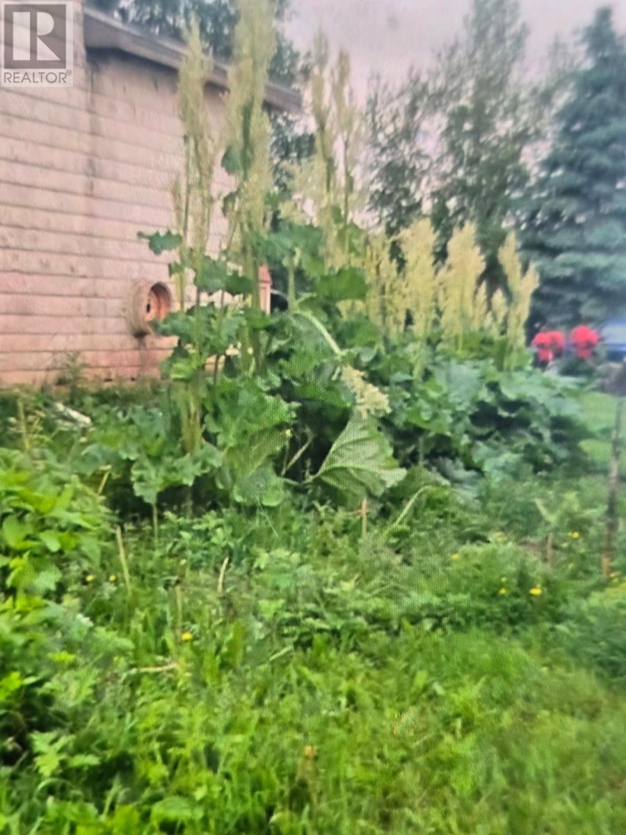 651 Higgins Road, St. Gilbert, Prince Edward Island  C0B 2E0 - Photo 7 - 202603228