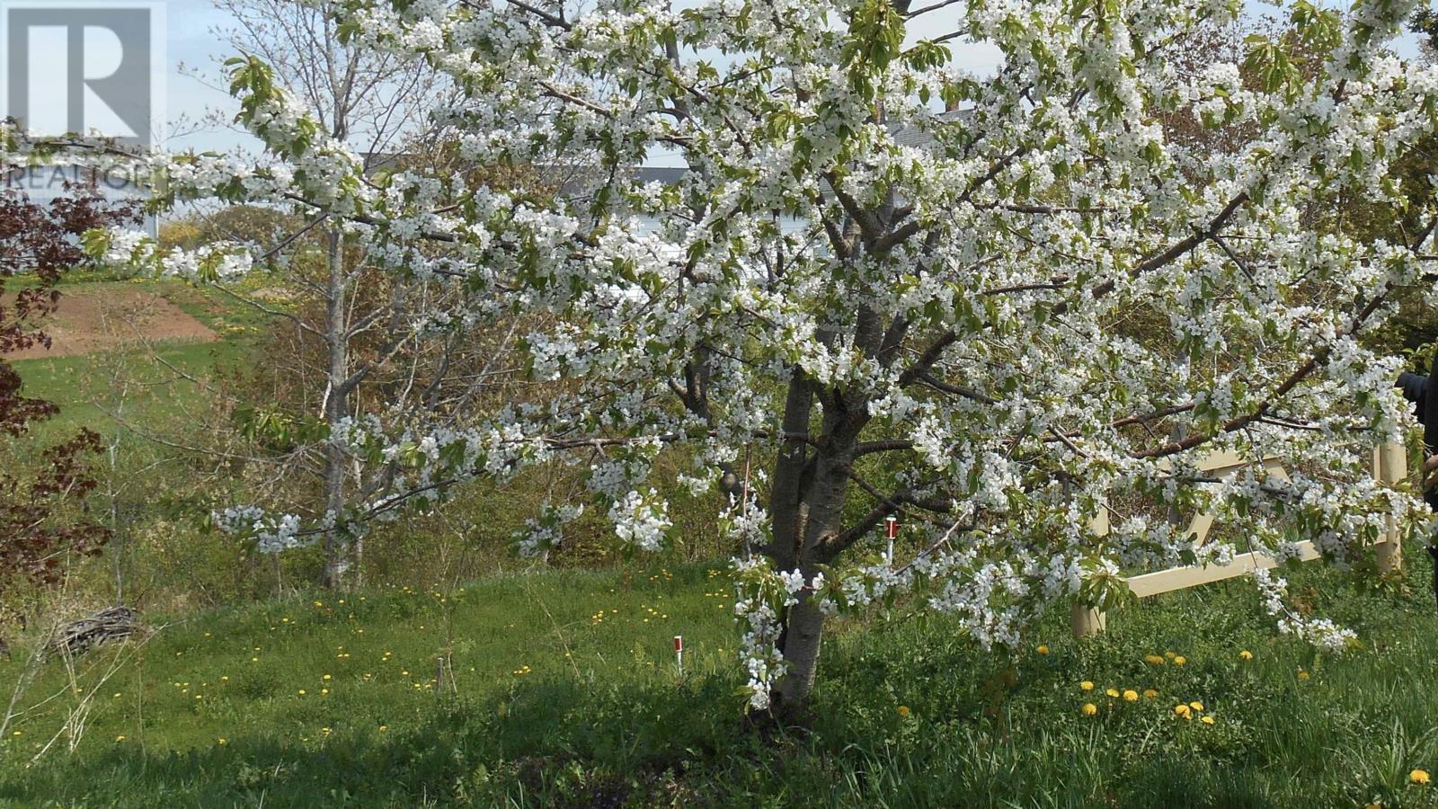 10235 Rte 11, Richmond, Prince Edward Island  C0B 1Y0 - Photo 39 - 202603611