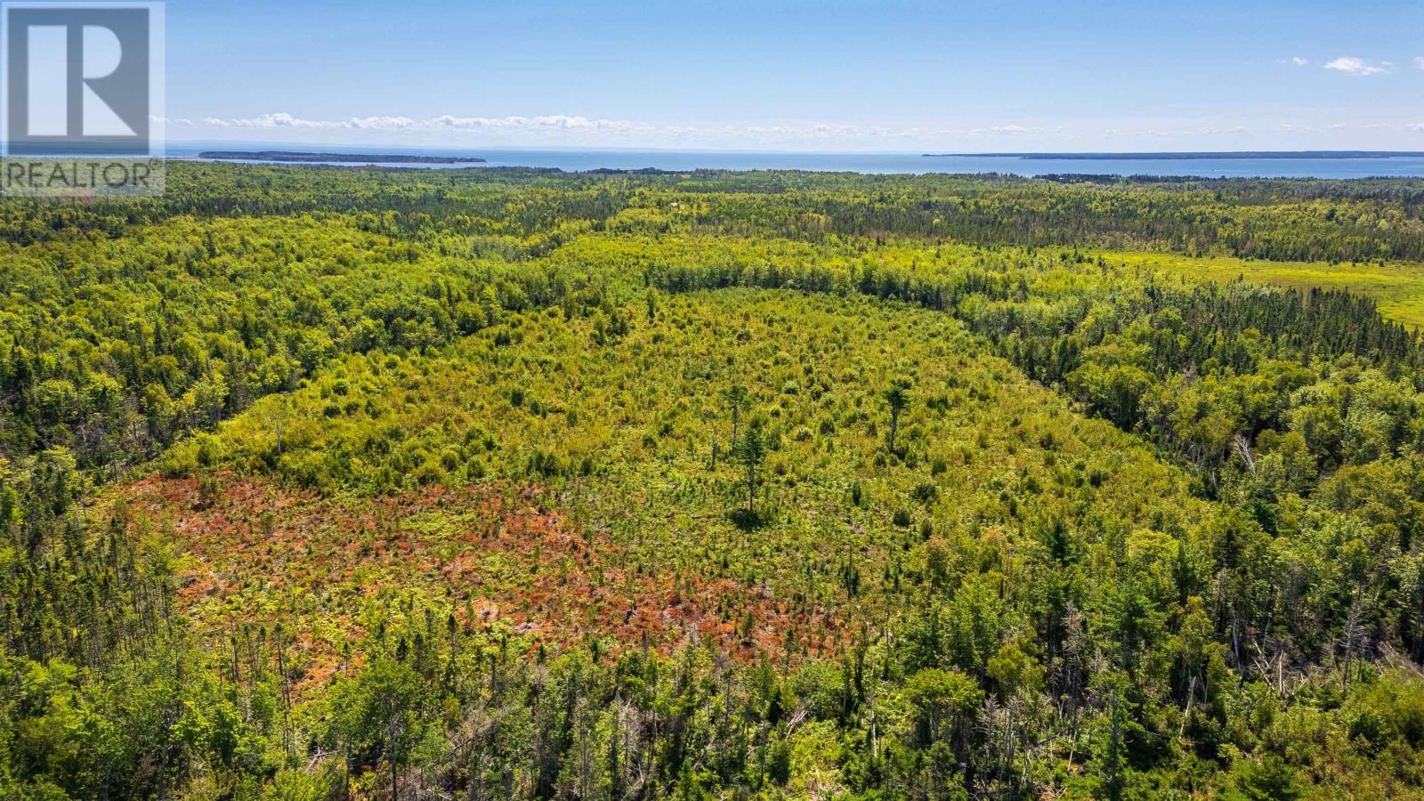 Acreage Portage Road, Degros Marsh, Prince Edward Island  C0A 1G0 - Photo 5 - 202603886