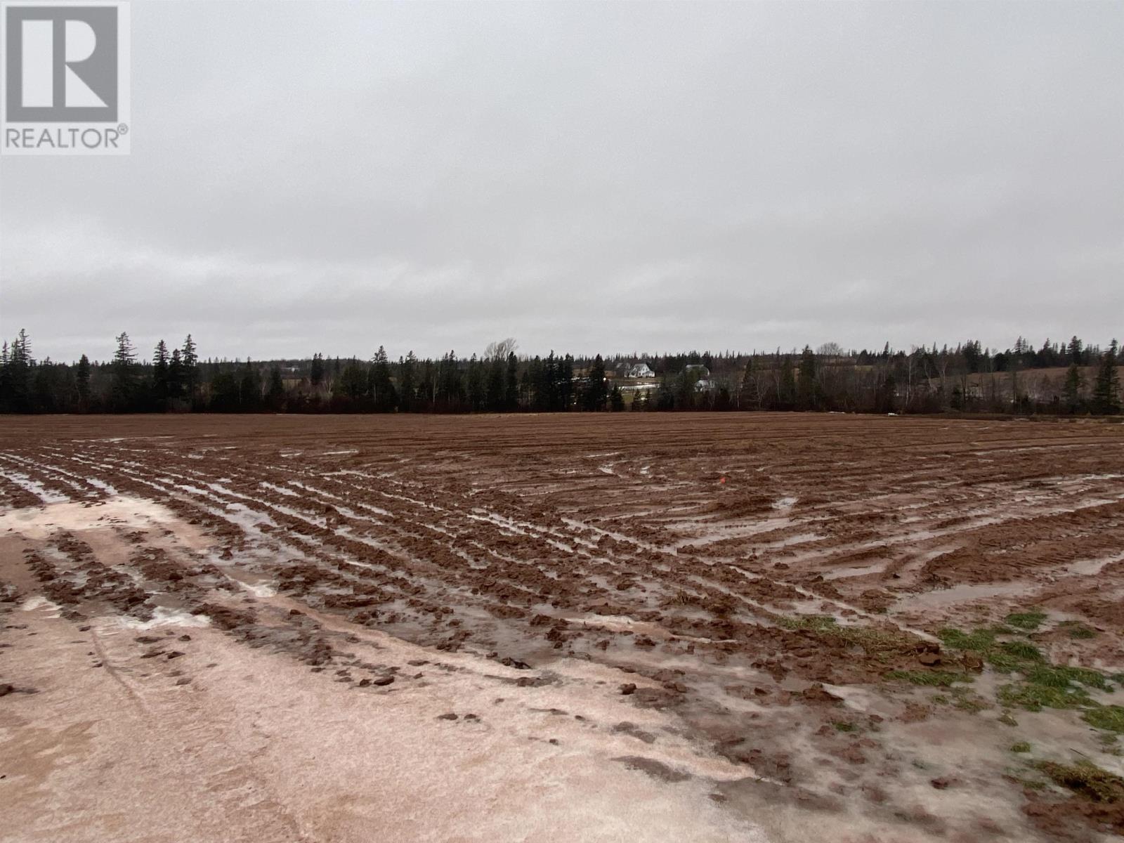 Scales Pond Rd, Freetown, Prince Edward Island  C0B 1N0 - Photo 5 - 202604091