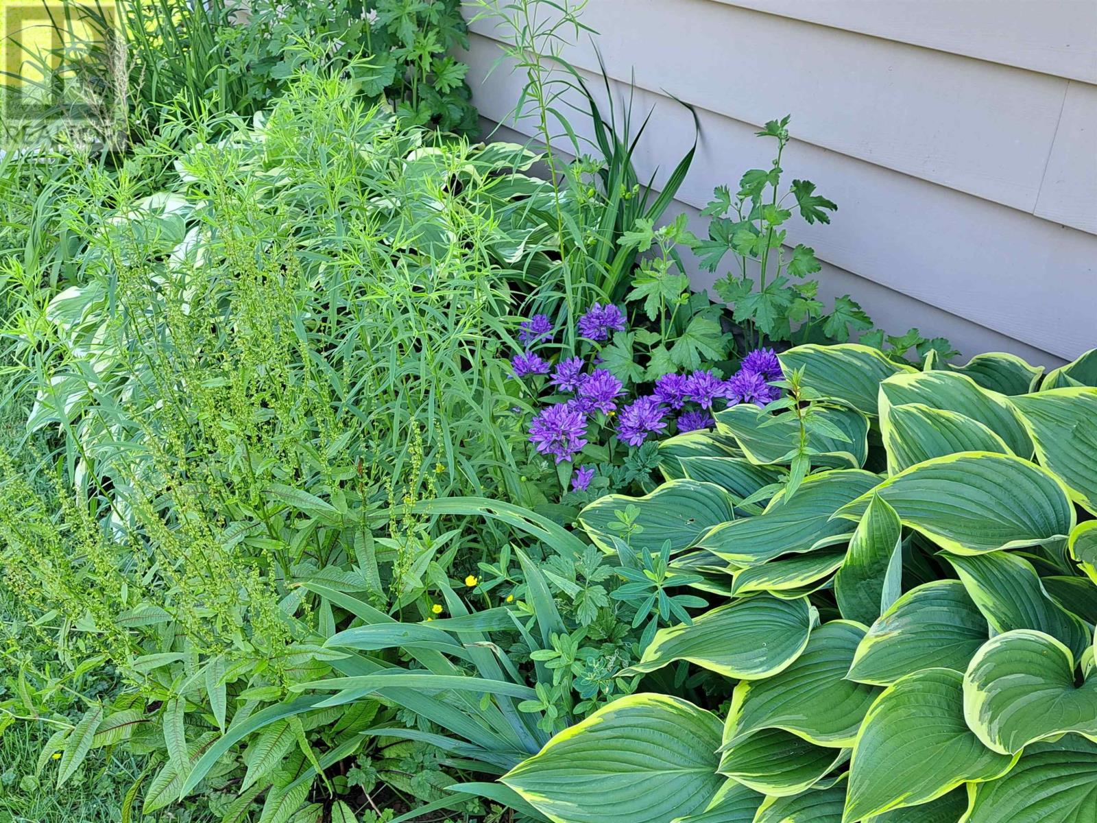 220 Clark Street, Summerside, Prince Edward Island  C1N 2J5 - Photo 4 - 202604139