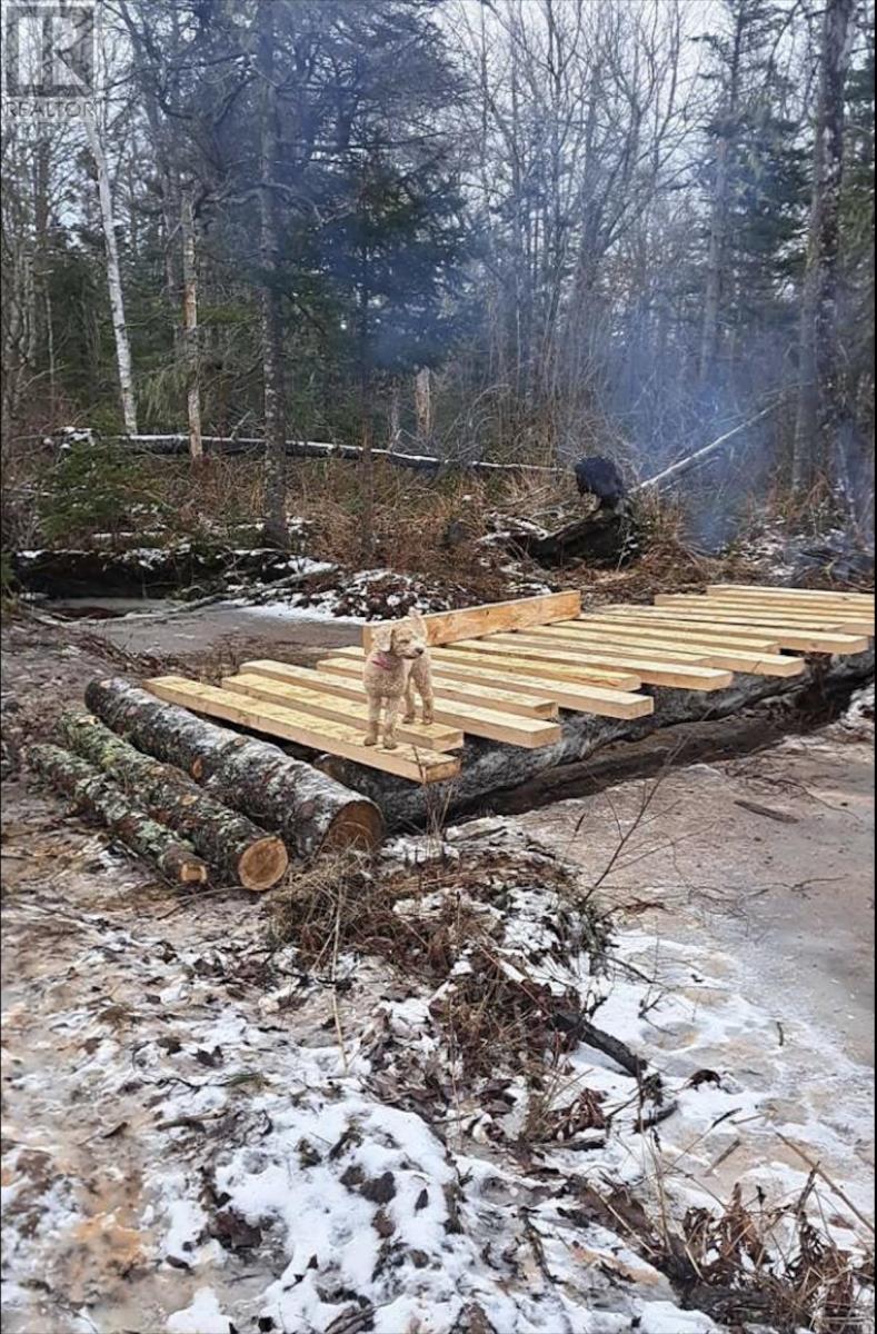 Acreage Guernsey Cove Road, Murray Harbour, Prince Edward Island  C0A 1V0 - Photo 2 - 202604258