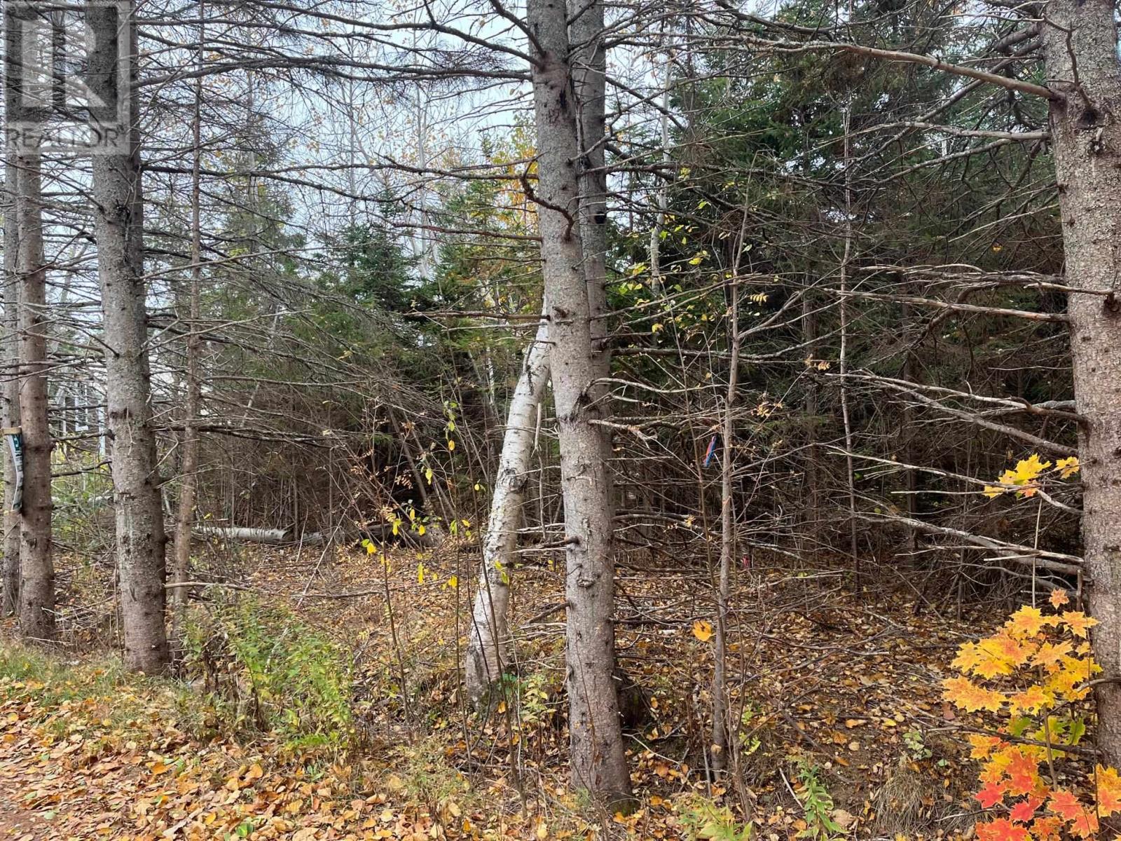 Lot 9 Birds Eye Drive, Rocky Point, Prince Edward Island  C0A 1H0 - Photo 8 - 202604307