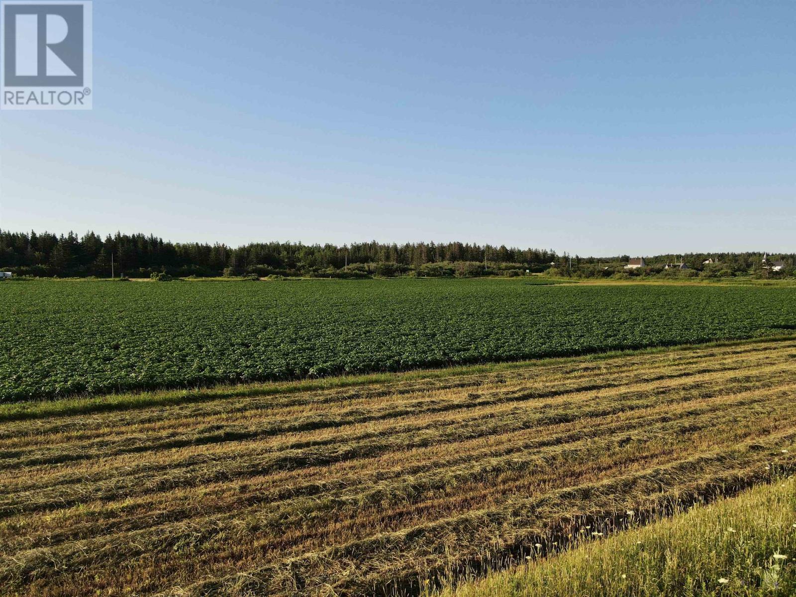 Lot 06-1 Route 14, Campbellton, Prince Edward Island  C0B 1E0 - Photo 21 - 202604347