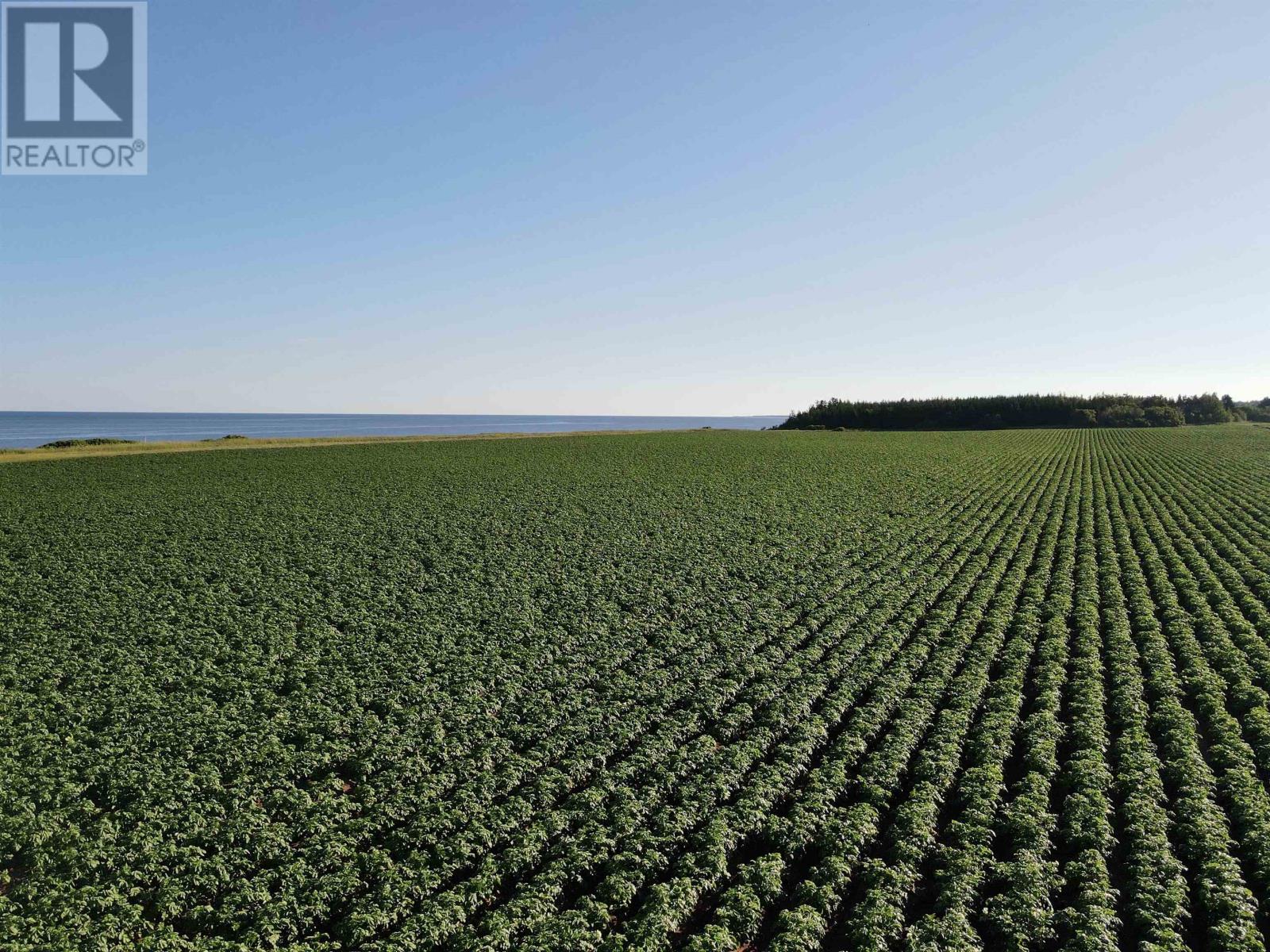 Lot 06-2 Route 14, Campbellton, Prince Edward Island  C0B 1E0 - Photo 18 - 202604348