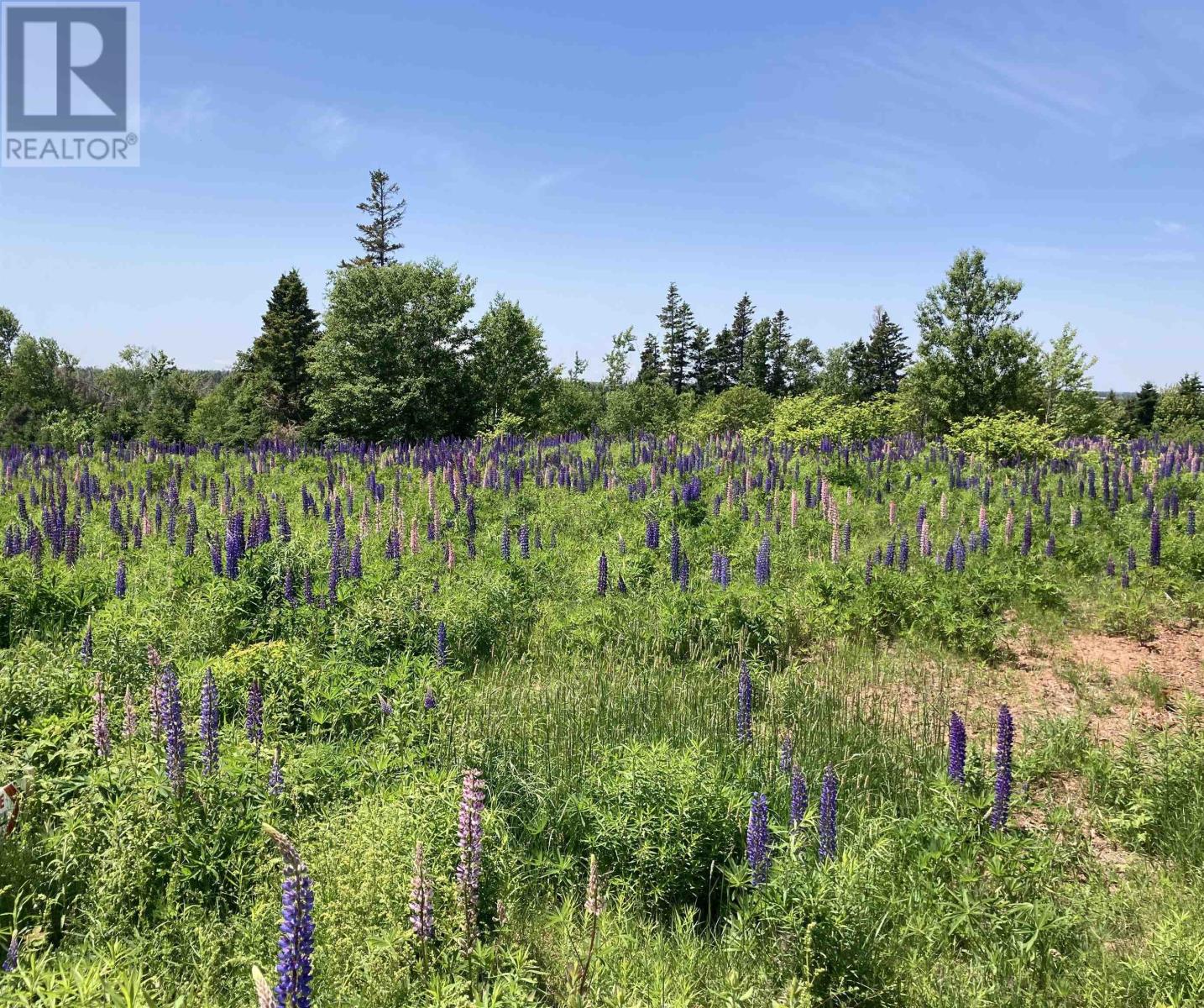 Lot 32 Sunset Drive, Oyster Bed Bridge, Prince Edward Island  C1E 2X8 - Photo 17 - 202604651