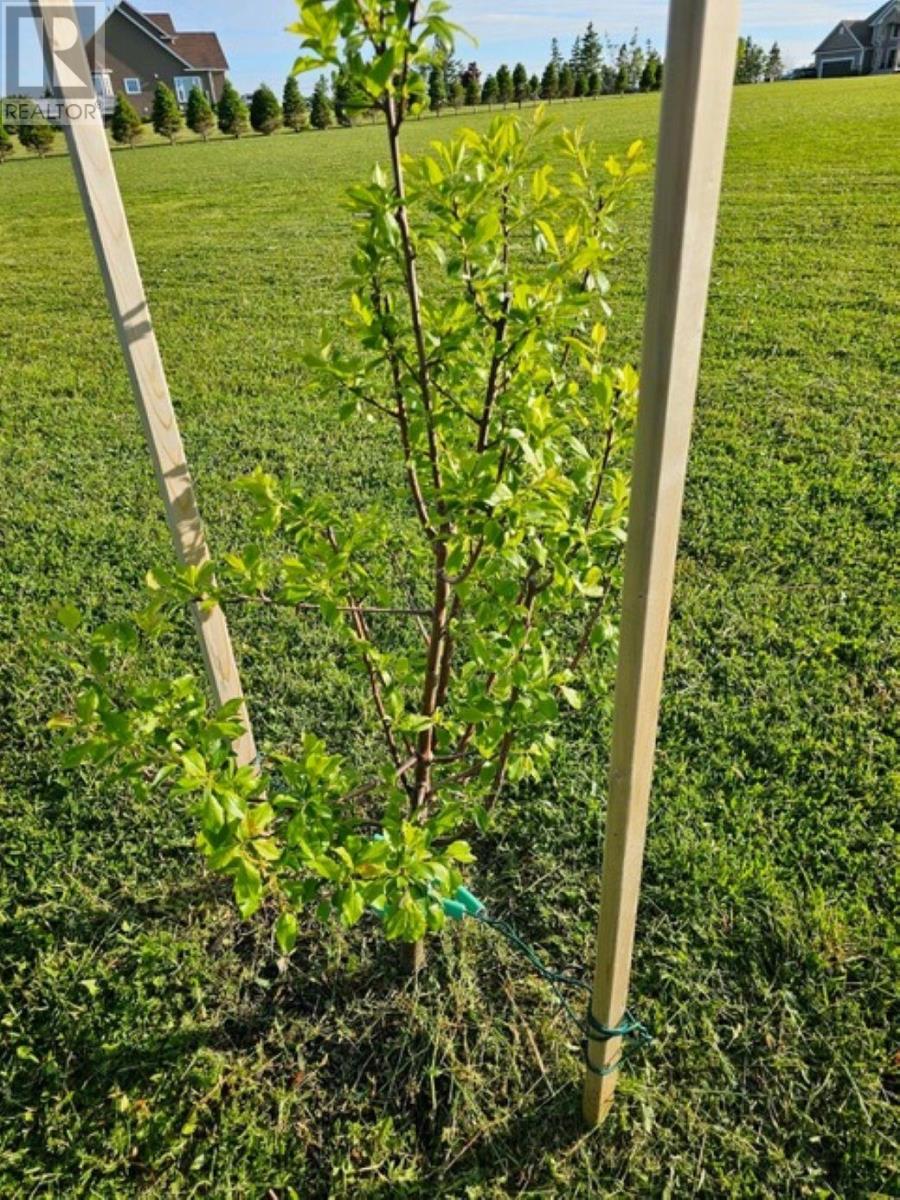 Lot 11 Heritage  River Road, Mermaid, Prince Edward Island  C1B 0Y6 - Photo 13 - 202605727