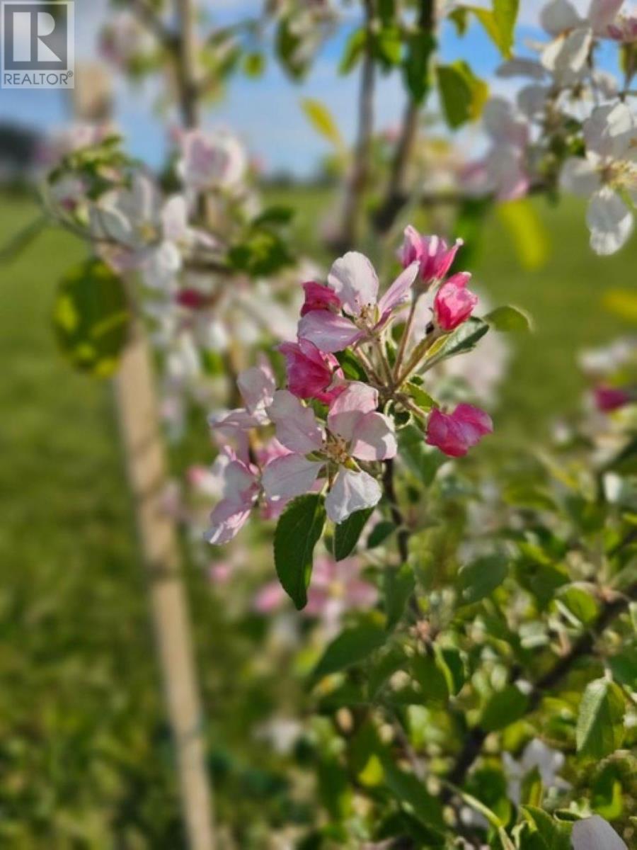 Lot 11 Heritage  River Road, Mermaid, Prince Edward Island  C1B 0Y6 - Photo 14 - 202605727