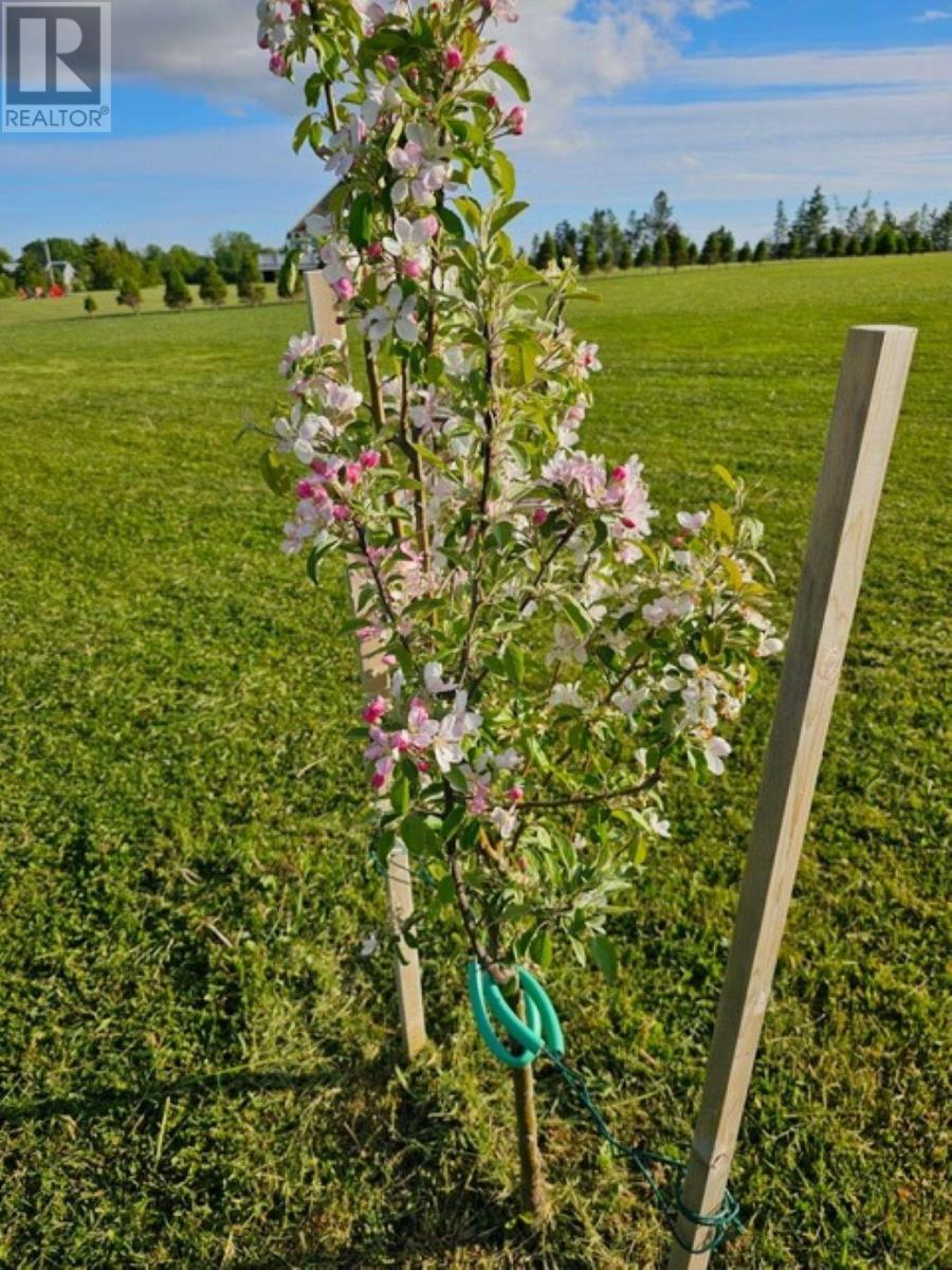 Lot 11 Heritage  River Road, Mermaid, Prince Edward Island  C1B 0Y6 - Photo 15 - 202605727