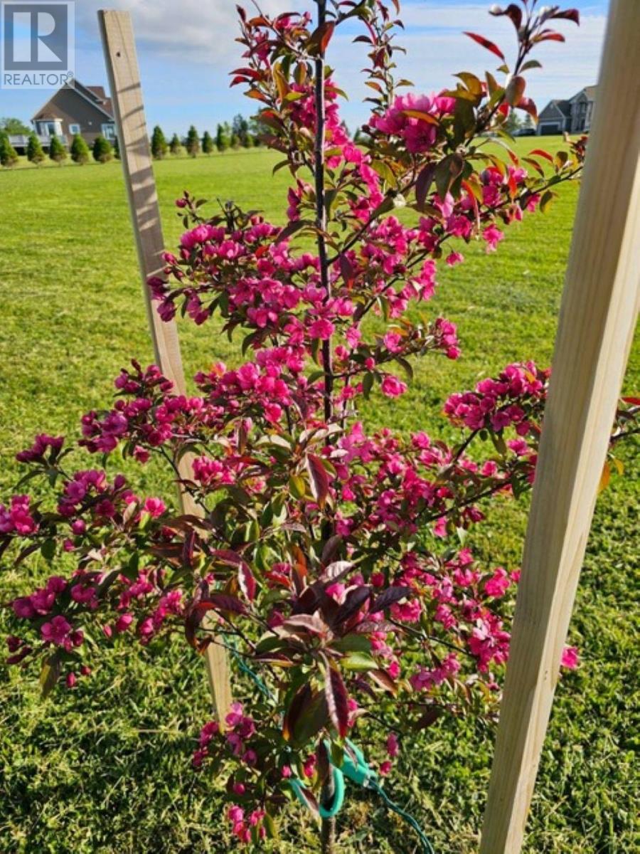 Lot 11 Heritage  River Road, Mermaid, Prince Edward Island  C1B 0Y6 - Photo 17 - 202605727