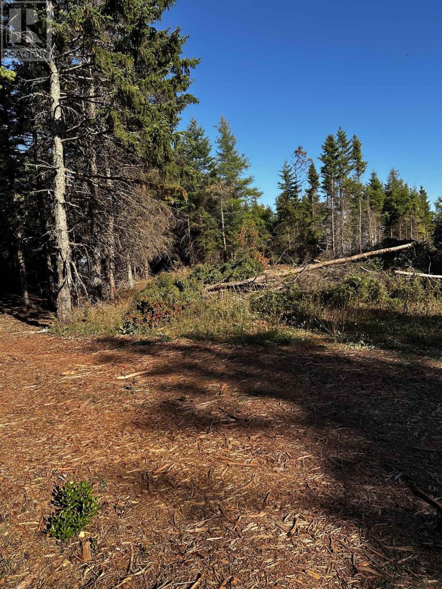 Lot 2 Dune Road, St. Felix, Prince Edward Island  C0B 2B0 - Photo 7 - 202605734