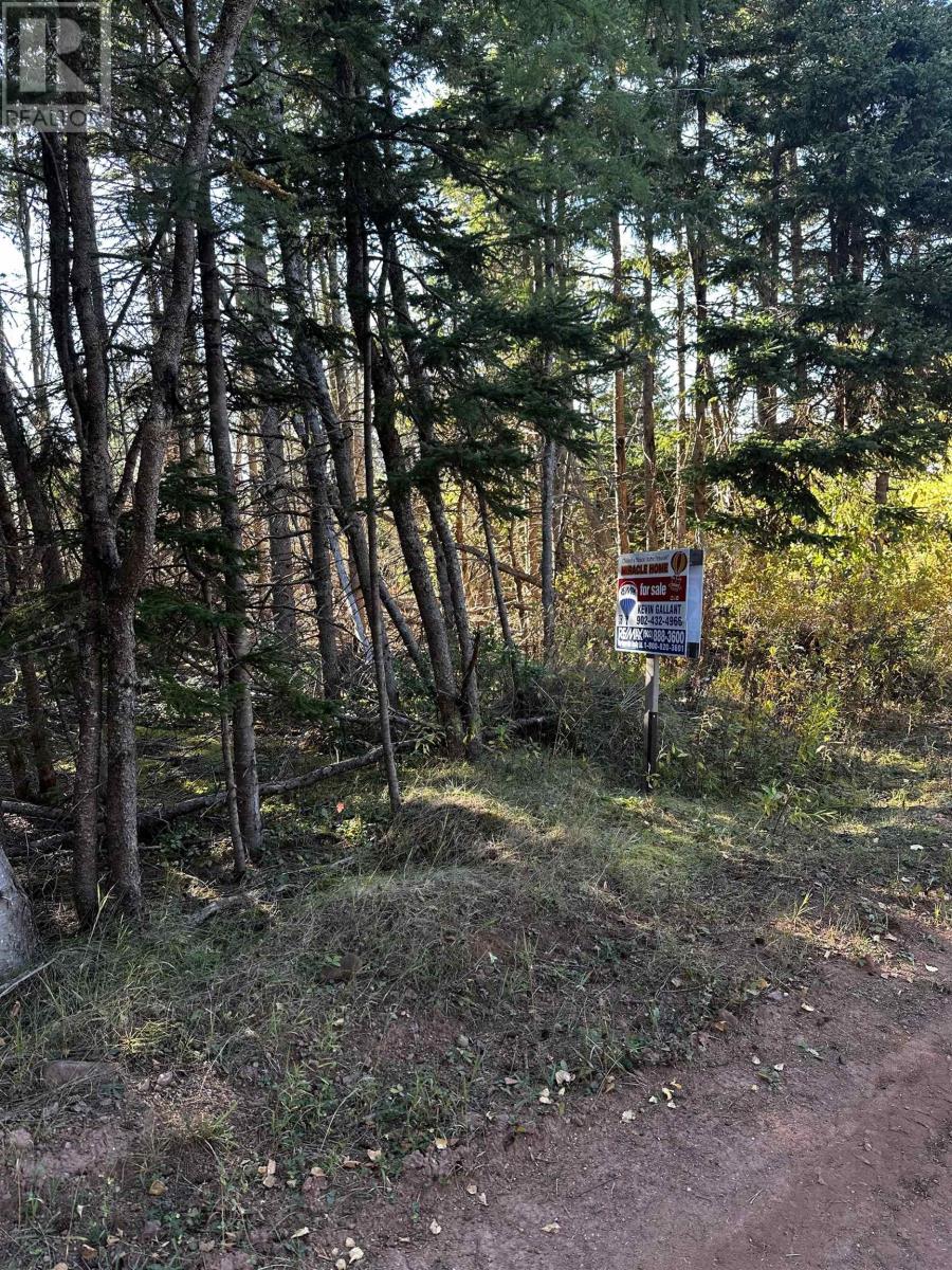 Lot 2 Dune Road, St. Felix, Prince Edward Island  C0B 2B0 - Photo 9 - 202605734