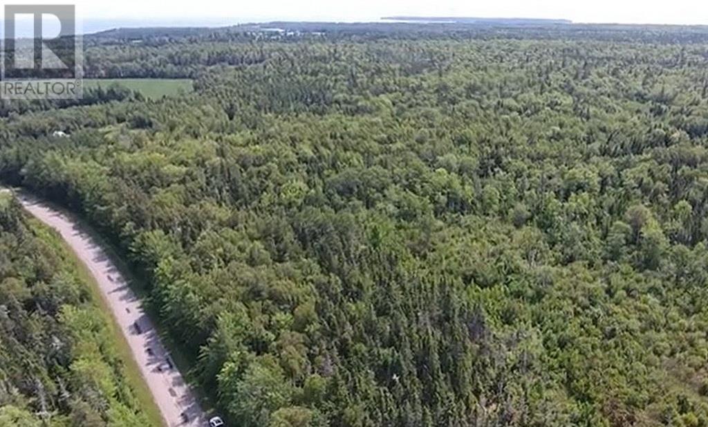 2.85 Acreage Primrose Road, Rte 311, Launching, Prince Edward Island  C0A 1G0 - Photo 5 - 202605816