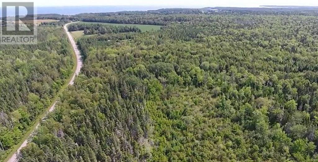 2.85 Acreage Primrose Road, Rte 311, Launching, Prince Edward Island  C0A 1G0 - Photo 6 - 202605816