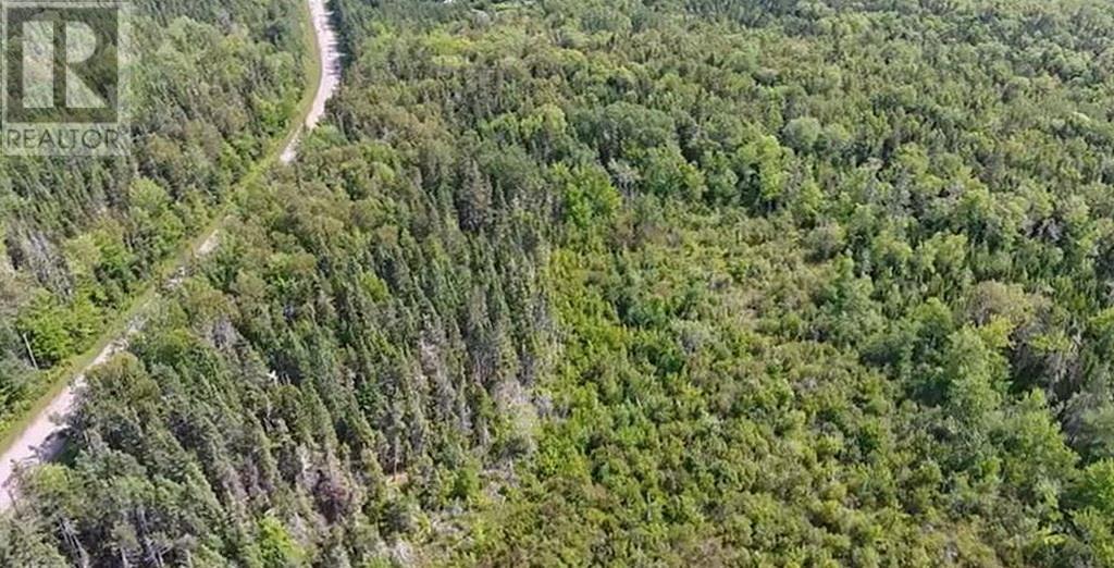 2.85 Acreage Primrose Road, Rte 311, Launching, Prince Edward Island  C0A 1G0 - Photo 7 - 202605816