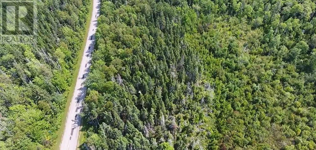 2.85 Acreage Primrose Road, Rte 311, Launching, Prince Edward Island  C0A 1G0 - Photo 9 - 202605816