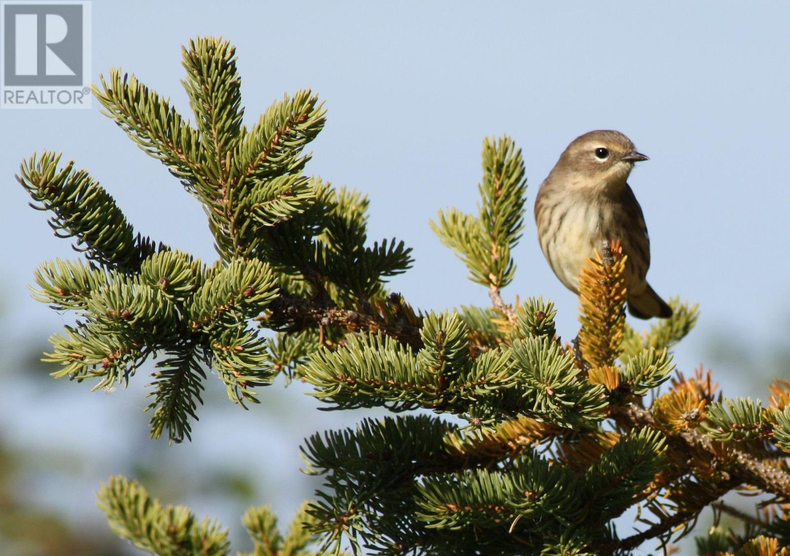 7373 Route 11, Cap Egmont, Prince Edward Island  C0B 2E0 - Photo 35 - 202606256