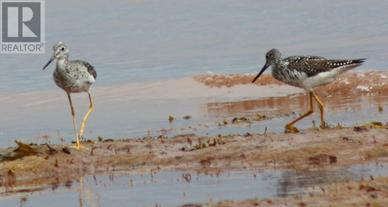 7373 Route 11, Cap Egmont, Prince Edward Island  C0B 2E0 - Photo 44 - 202606256