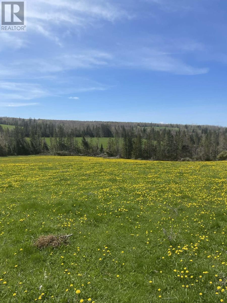 19521 RTE 2, Greenvale, Prince Edward Island