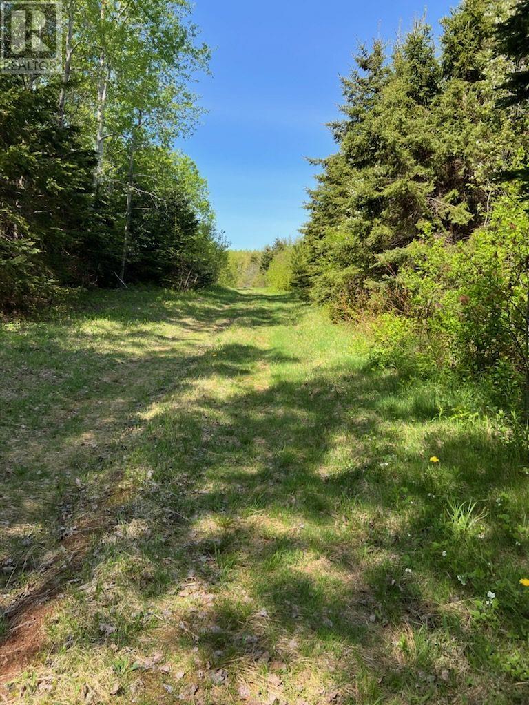 1828 Route 320 - Brothers Road, Peakes, Prince Edward Island  C0A 1A0 - Photo 3 - 202606925
