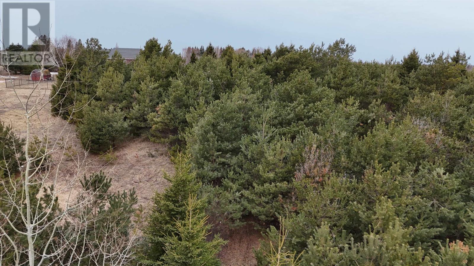 4 Melissa Analayne Road, Mill River East, Prince Edward Island  C0B 1B0 - Photo 4 - 202607162