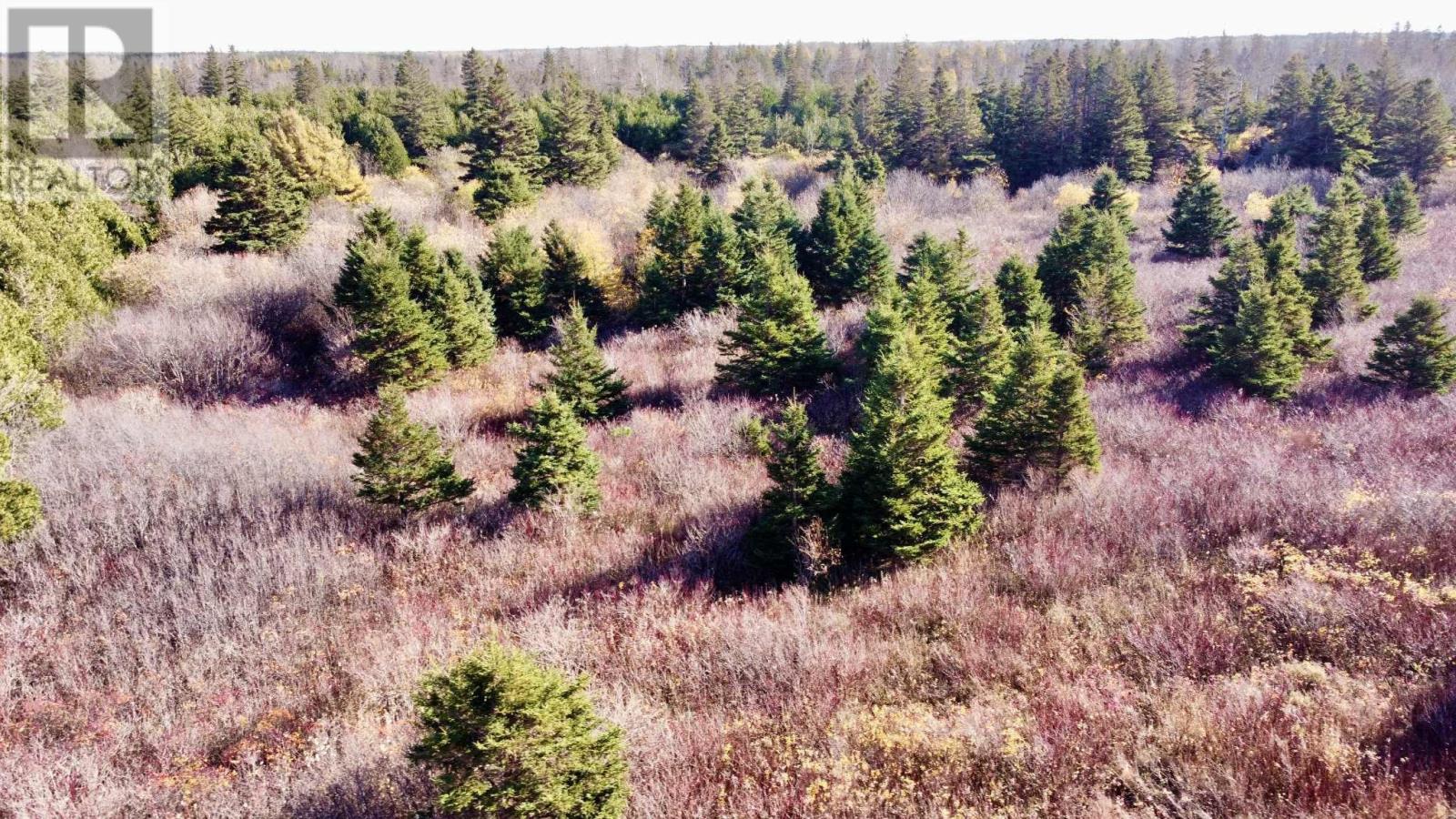 863233 Sea Watch Drive, Miminegash, Prince Edward Island  C0B 1Z0 - Photo 50 - 202607469