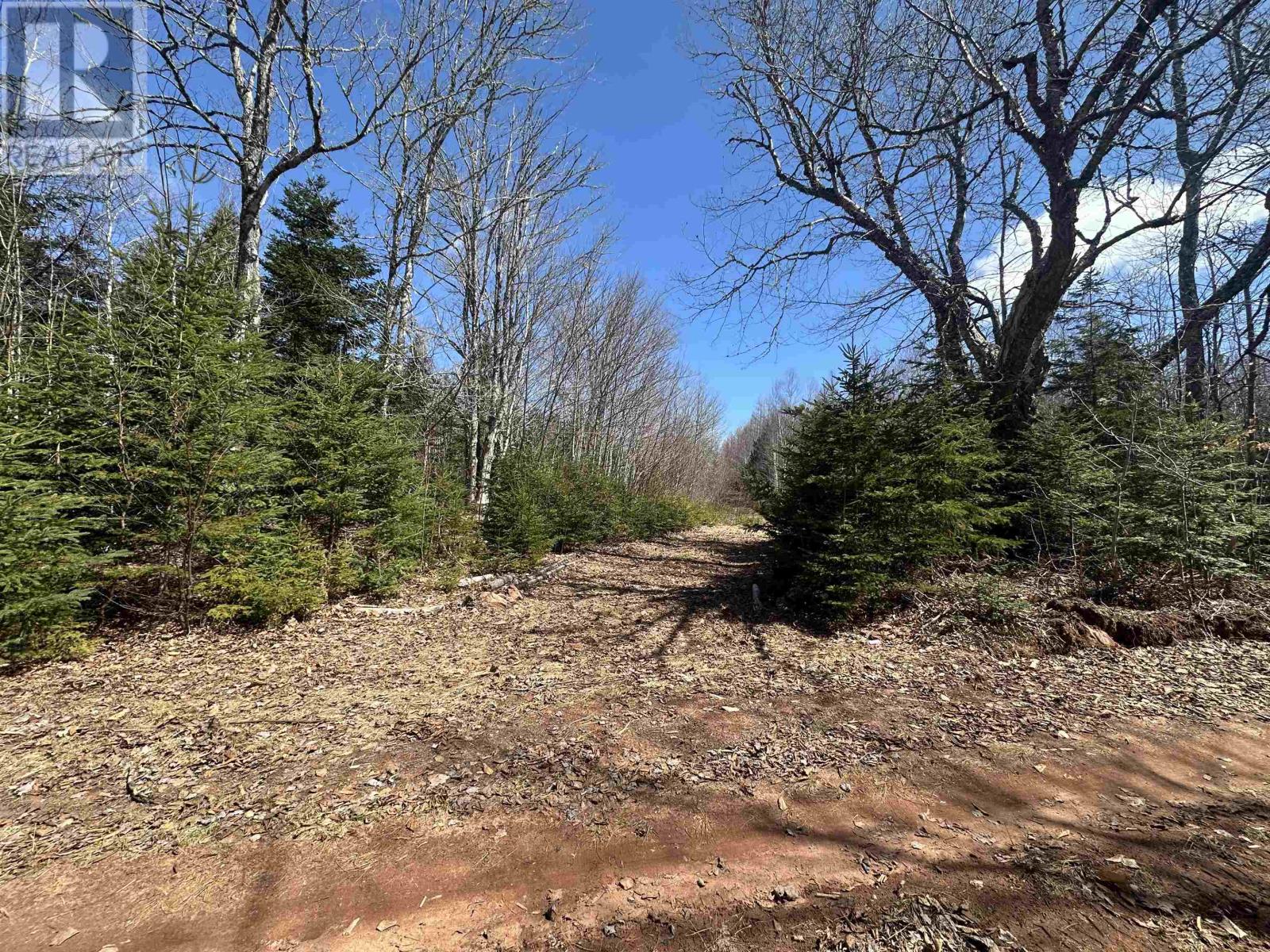Settlement Road, Lyndale, Prince Edward Island  C0A 1A0 - Photo 12 - 202608771