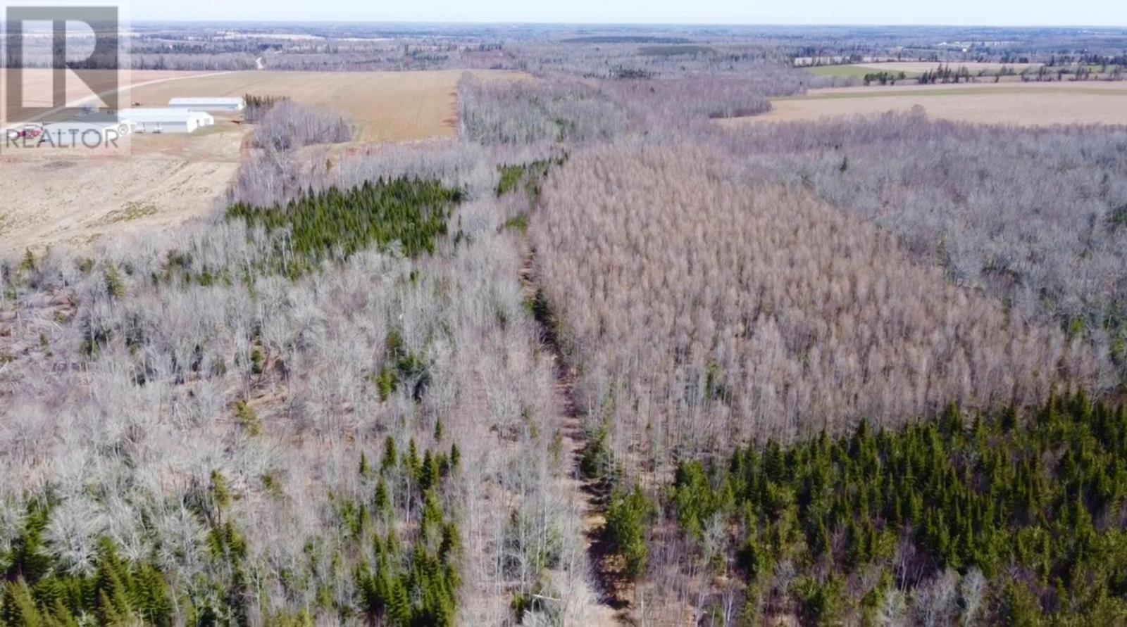 Settlement Road, Lyndale, Prince Edward Island  C0A 1A0 - Photo 14 - 202608771