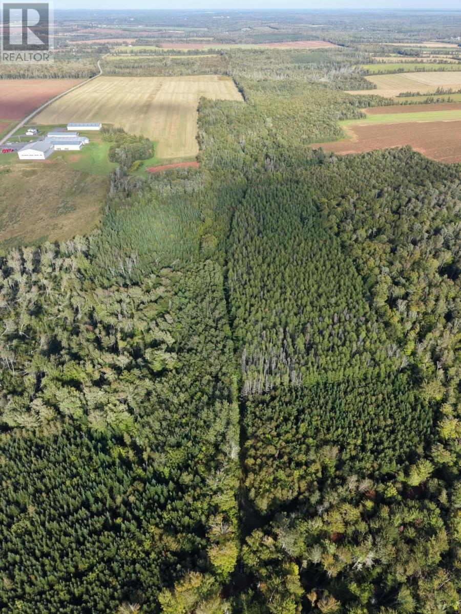 Settlement Road, Lyndale, Prince Edward Island  C0A 1A0 - Photo 19 - 202608771